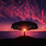 beautiful images for whatsapp dp